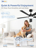 Zardon 52 in Black Ceiling Fan with LED Light and Remote, Downrod 6-Speed and Quiet Reversible DC Motor for Bedroom, Living Room, Indoor