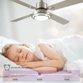 Dextrus 52'' Ceiling Fan with Light and Remote Control, 6 Speeds, 5 Timer Settings, and Dual - Finish Blades (Nickel)