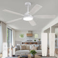 Zardon 52 in Black Ceiling Fan with LED Light and Remote, Downrod 6-Speed and Quiet Reversible DC Motor for Bedroom, Living Room, Indoor