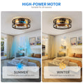 Dextrus 20" Caged Ceiling Fan with Lights and Remote Control, Rustic Farmhouse Flush Mount Design with Reversible DC Motor, 6 Speed Settings