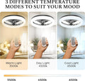 Cannonx 14 Low Profile Ceiling Fans with Lights and Remote, Modern Fandelier Ceiling Fan