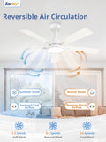 Zardon 52 in Black Ceiling Fan with LED Light and Remote, Downrod 6-Speed and Quiet Reversible DC Motor for Bedroom, Living Room, Indoor