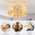 Dextrus 20" Caged Ceiling Fan with Lights and Remote Control, Rustic Farmhouse Flush Mount Design with Reversible DC Motor, 6 Speed Settings